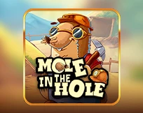 Mole in the Hole